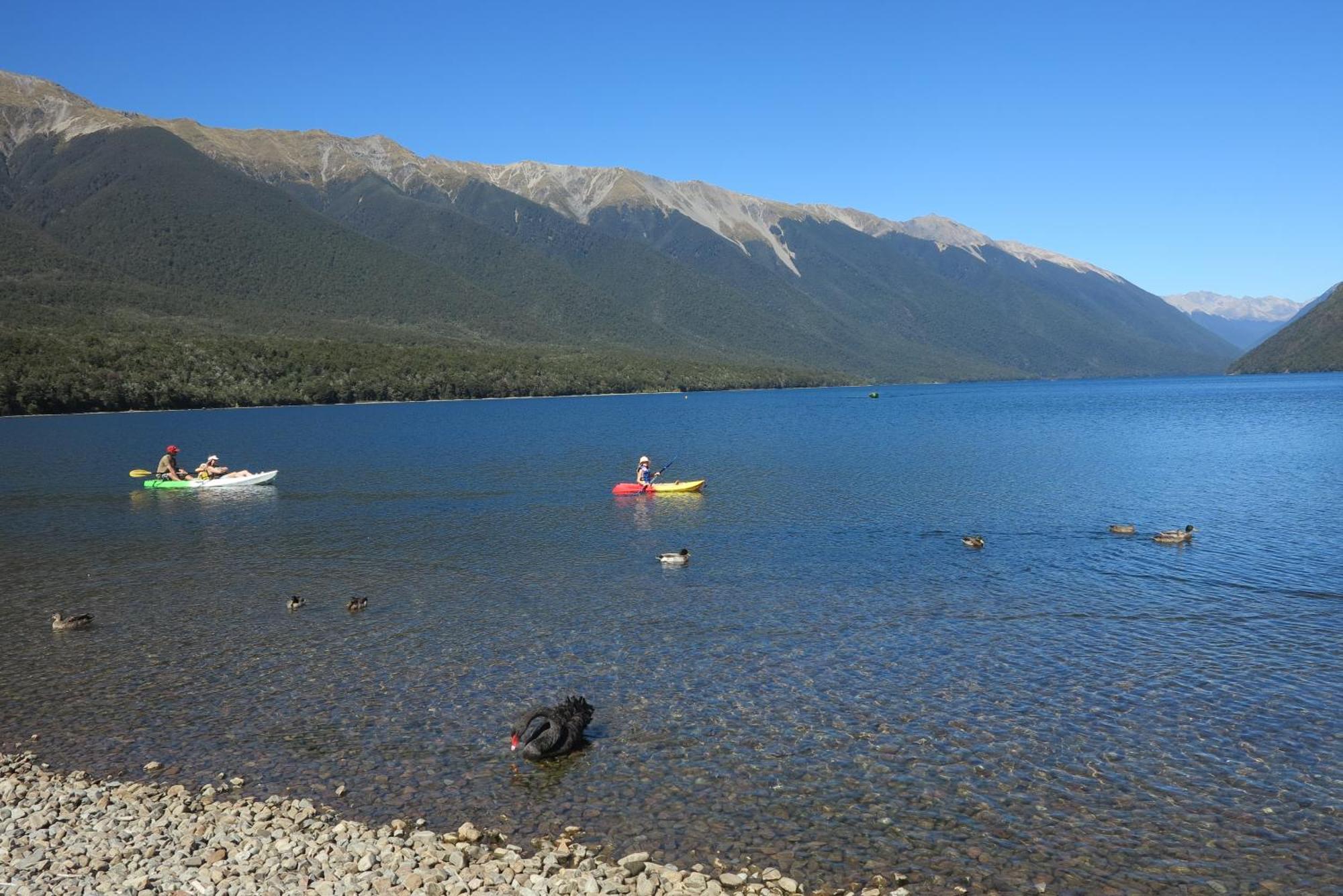 Tophouse Mountainview Cottages Saint Arnaud Bagian luar foto
